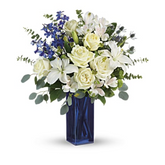 Calming Cobalt